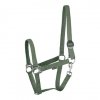 Kantar STLT - Harry's Horse
